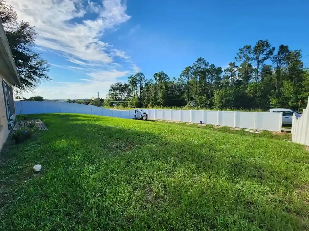 Fenced backyard with green grass