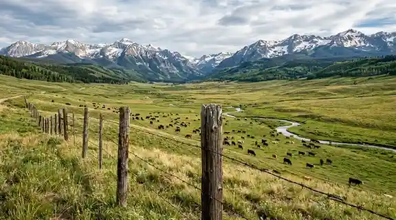 mountain ranch with cattle fence
